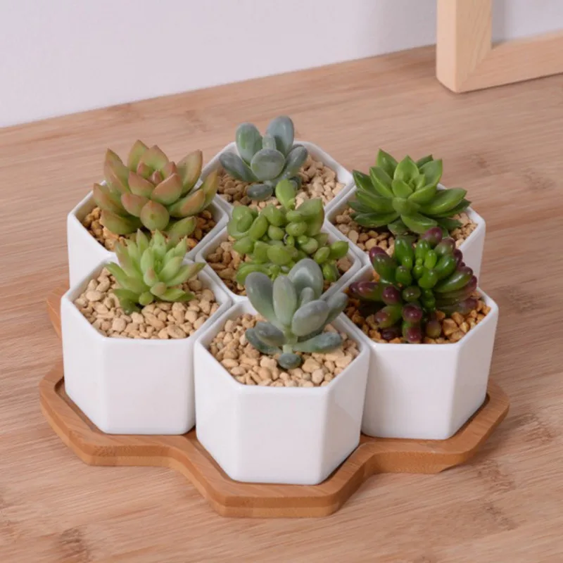 Desk Setup White - Juego de macetas hexagonales de 4/7/9/10,