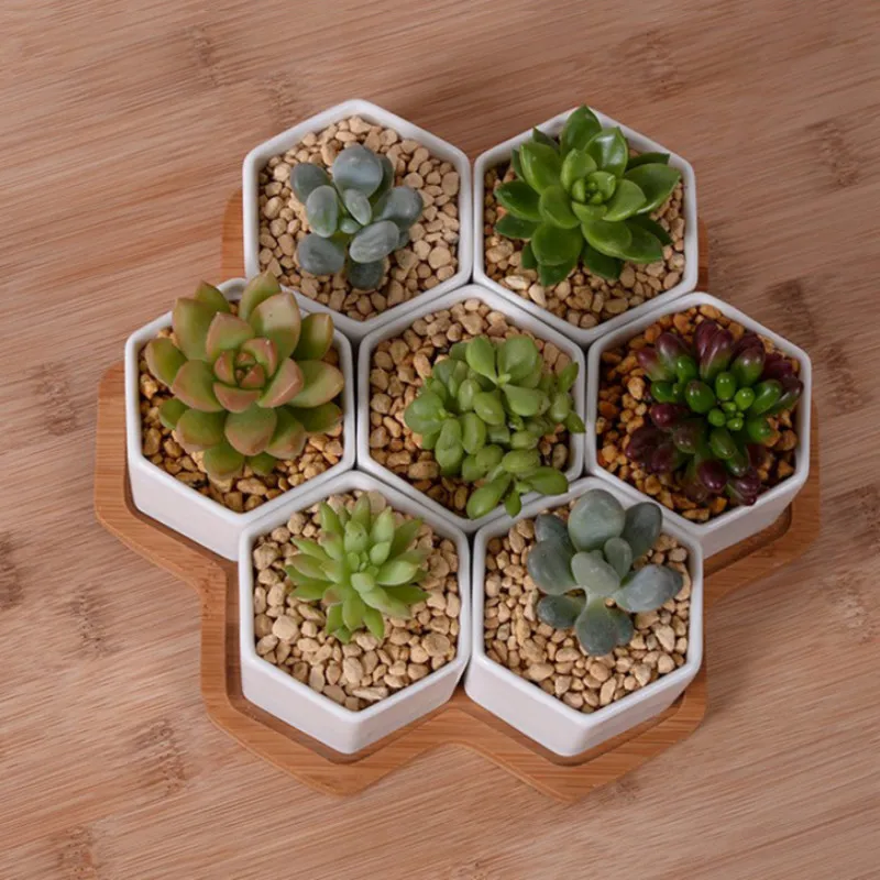 Juego de macetas hexagonales d - Desk Setup White reseña y precio